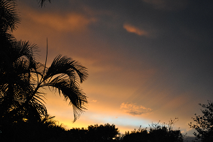 Miami West Sunset